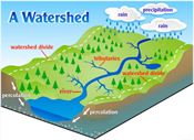 graphic of a watershed