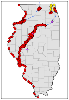 Map of Illinois showing county outlines and colored points for all structures in SAFR